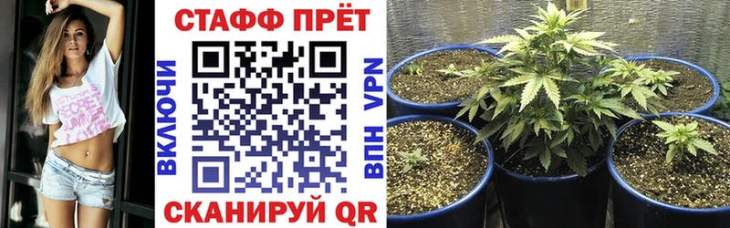 Купить Губкин МЕТАДОН  КОКАИН  СОЛЬ  МЕФ  ГАШИШ  Бошки Шишки  АМФЕТАМИН 