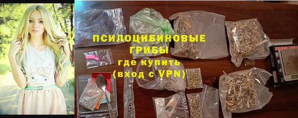 герыч Алексин