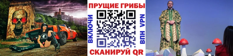 Псилоцибиновые грибы Psilocybine cubensis  купить наркотики сайты  Губкин 